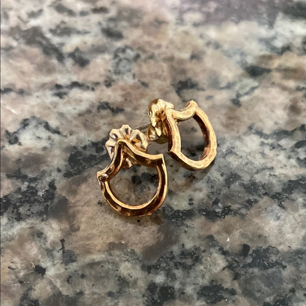 TL | Scale Earrings
